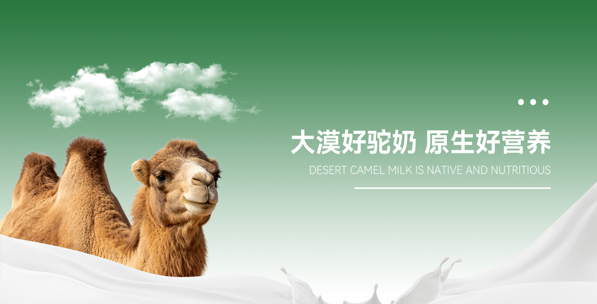 新疆驮中驼生物科技有限公司