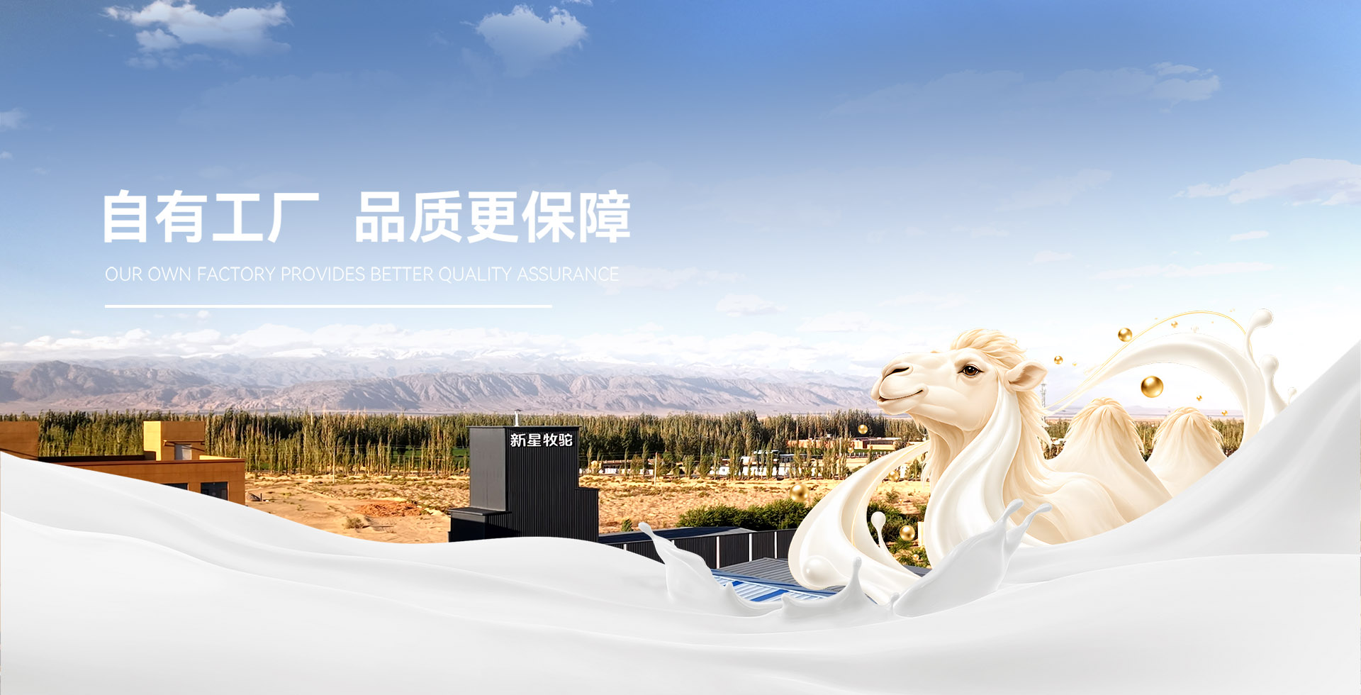 新疆驮中驼生物科技有限公司